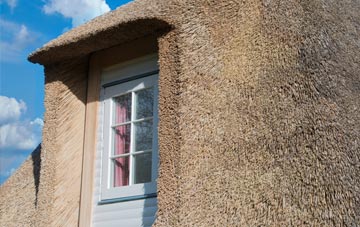 Crean thatch roof disadvantages